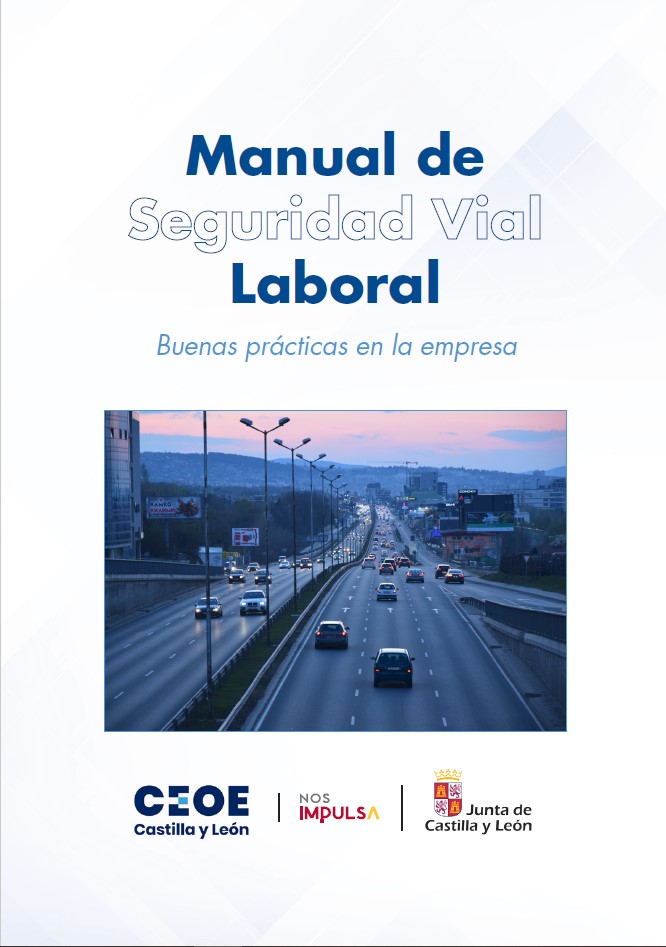 SEGURIDAD VIAL LABORAL